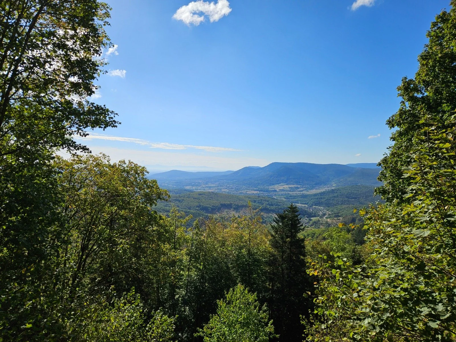 Blick in die Vogesen
