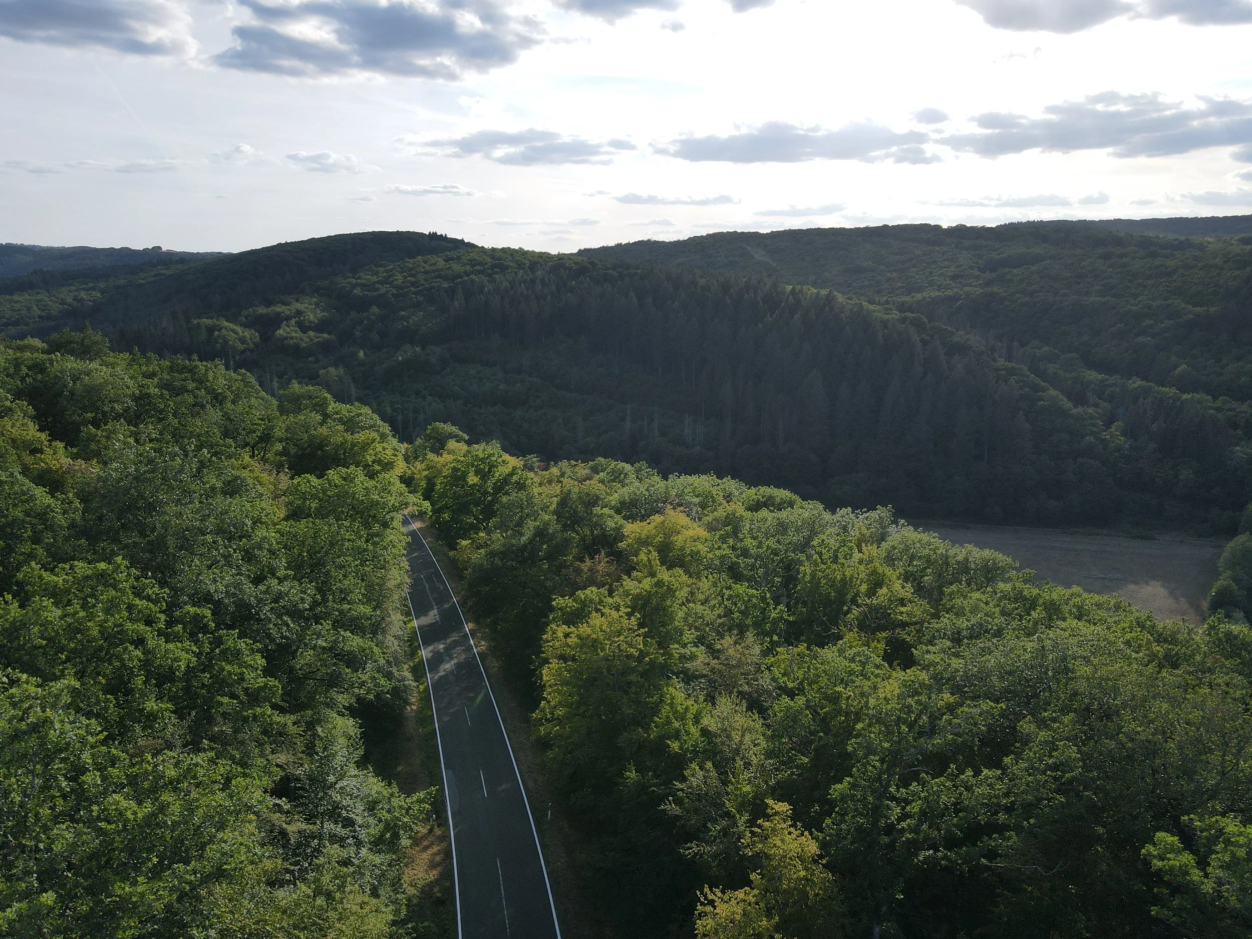 Landstraße die durch ein Waldstück in der Eifel führt