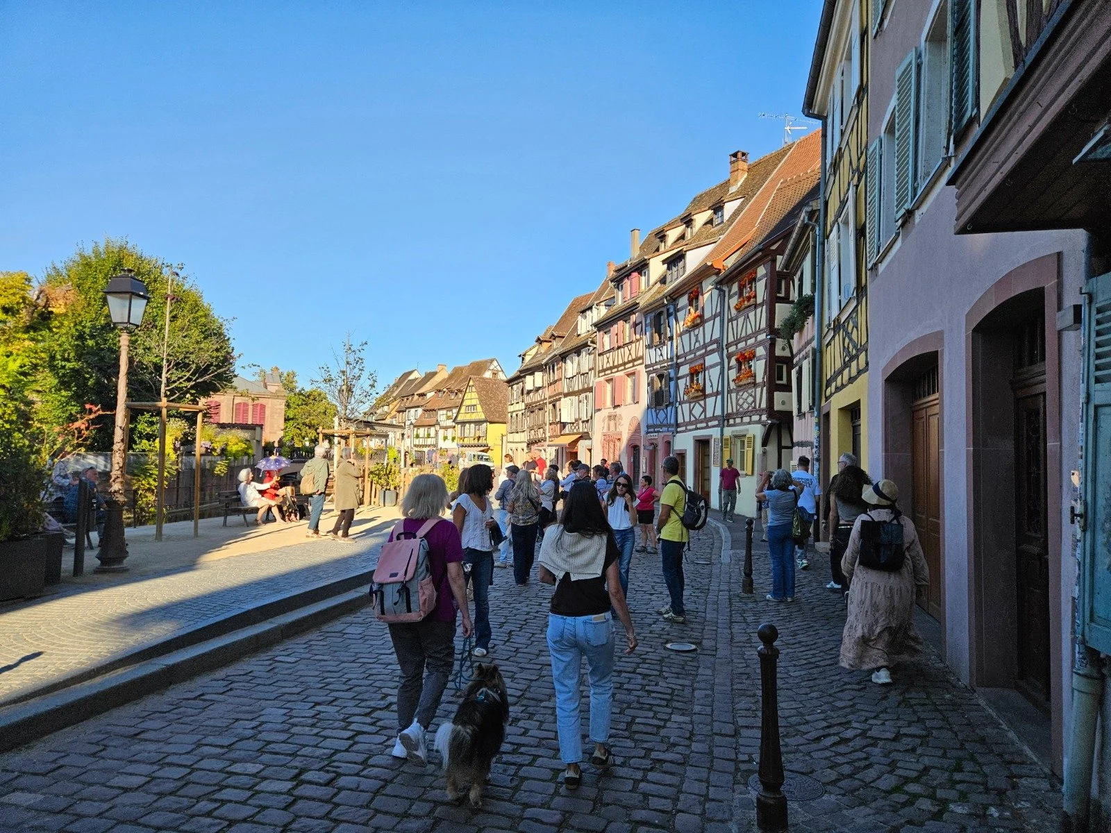 Colmar