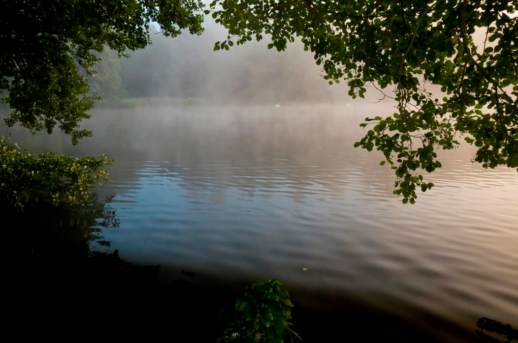 Screen shot 2015-09-02 at 2.51.13 PM.png