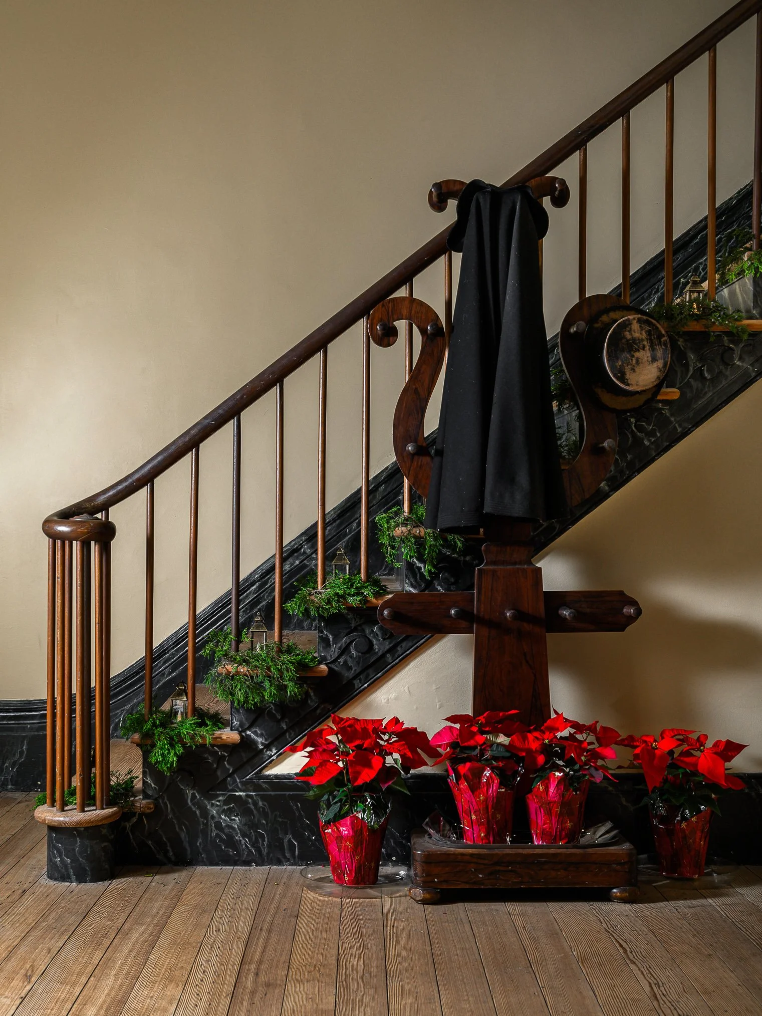 Somerset_Park and Vine Photography_07 Dec 2025_Facebook (8 of 29).jpg