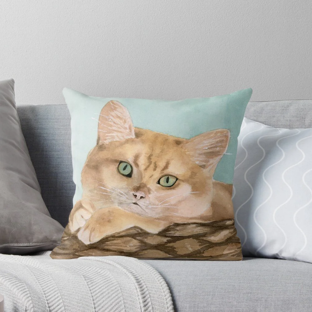 Cat in the Basket Pillow