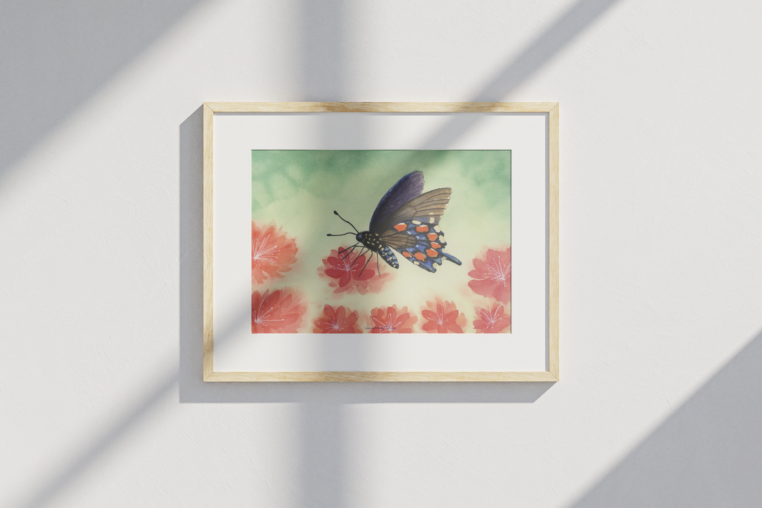 Butterfly Watercolor