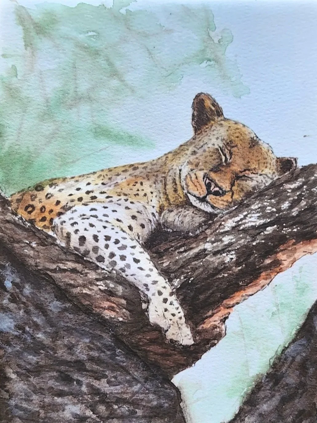 Sleeping Leopard on Tree Watercolor Painting