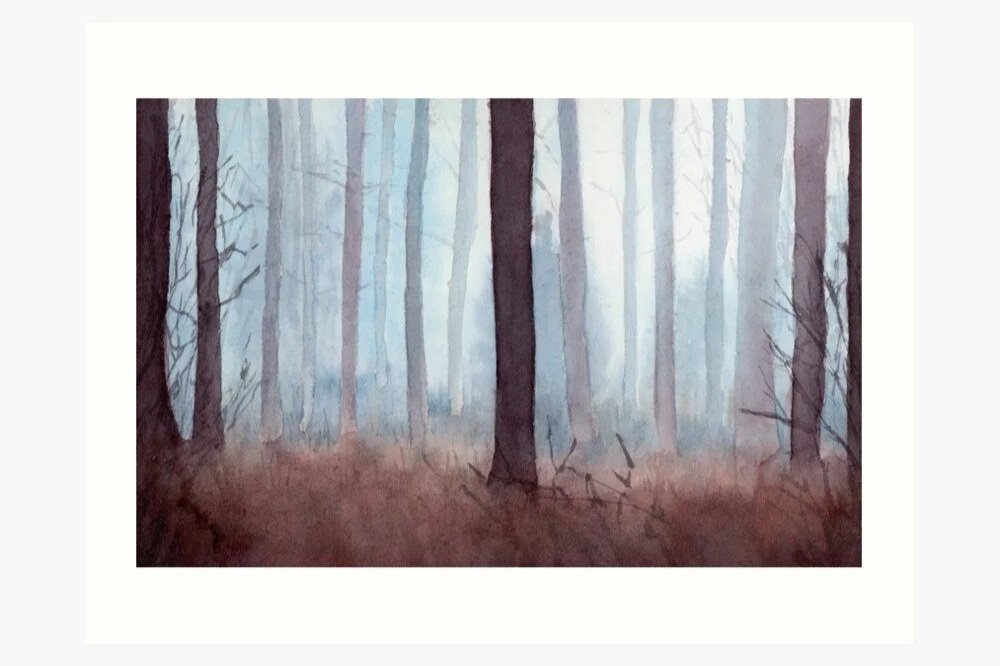 Misty Forest
