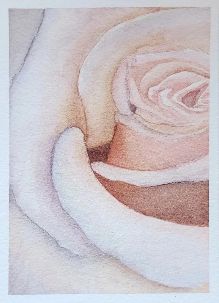 Pink Rose original painting