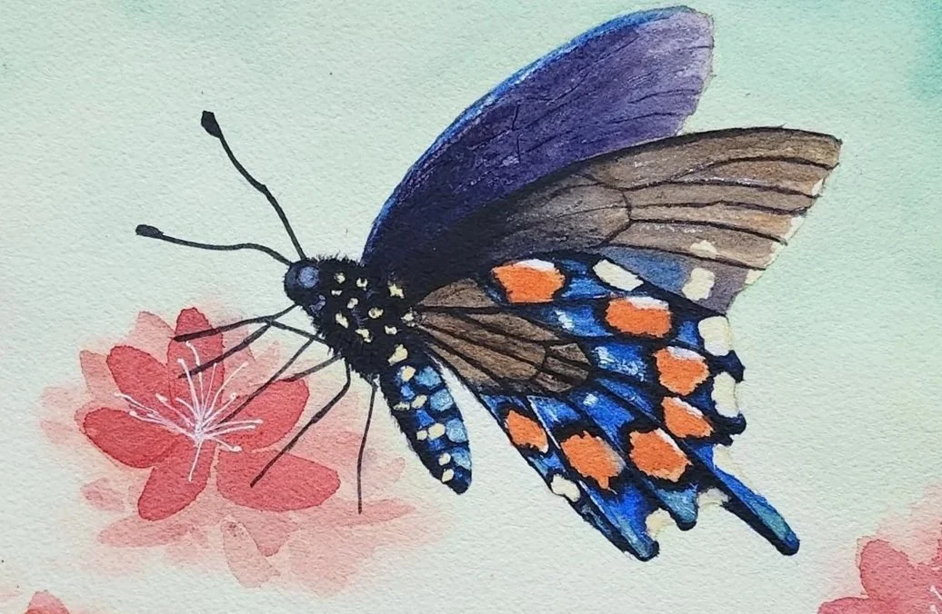Butterfly Watercolor detail