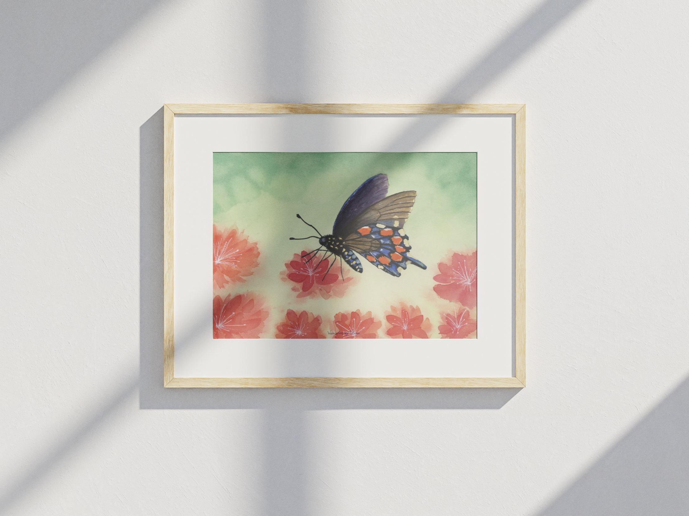 Butterfly