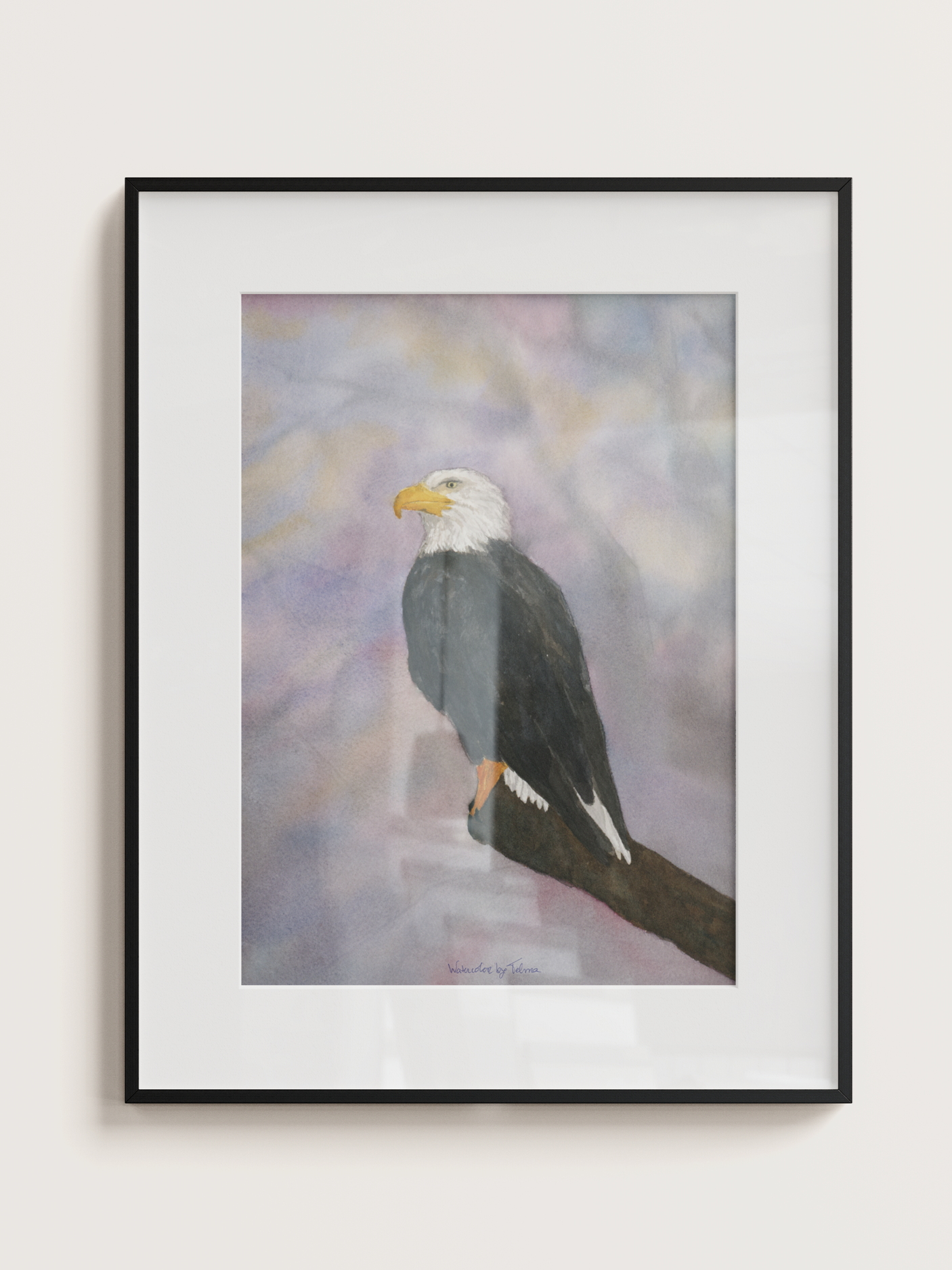 White-Headed Eagle