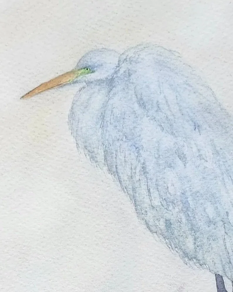 Blue Egret painting detail