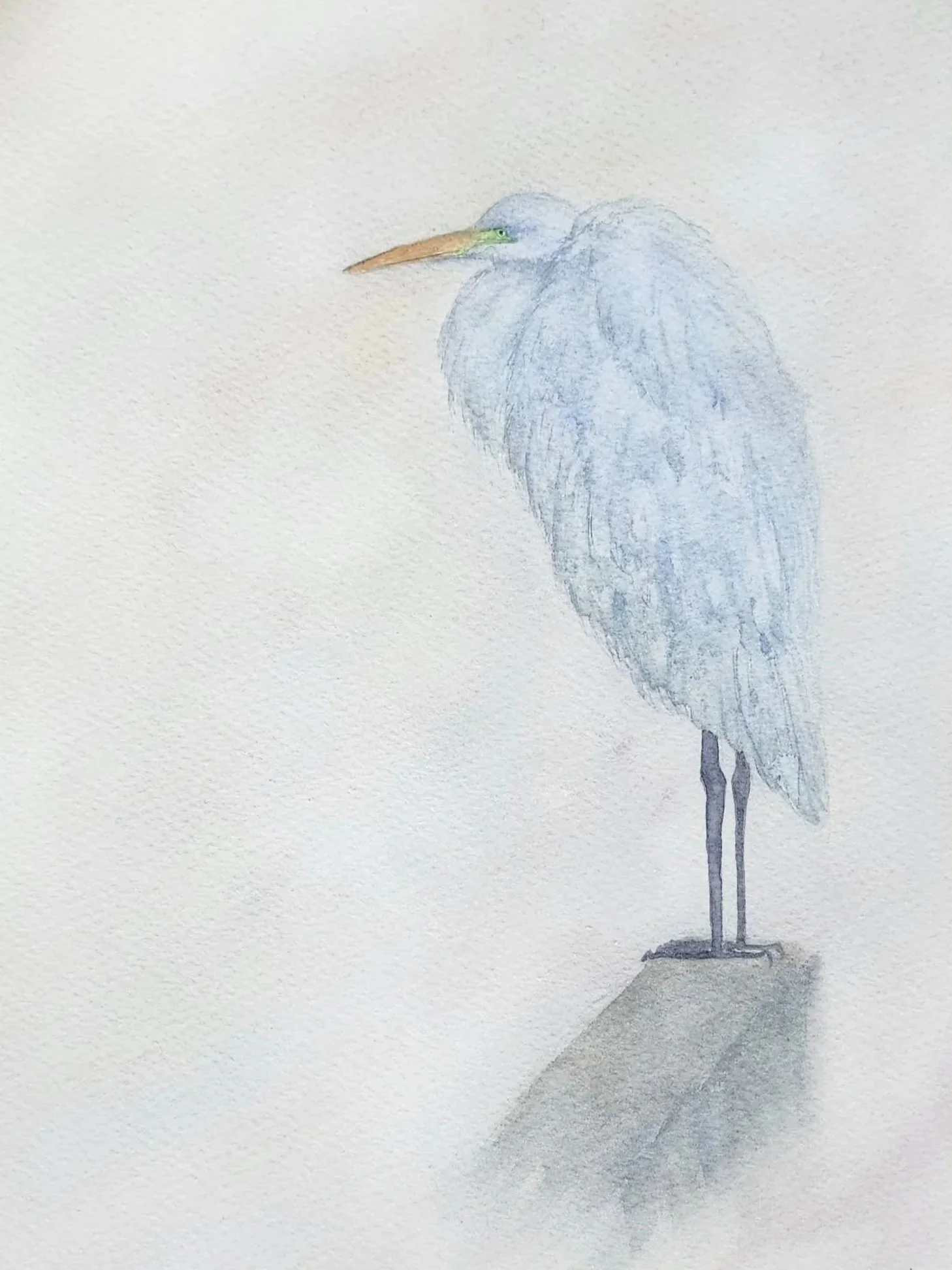 Blue Egret original painting