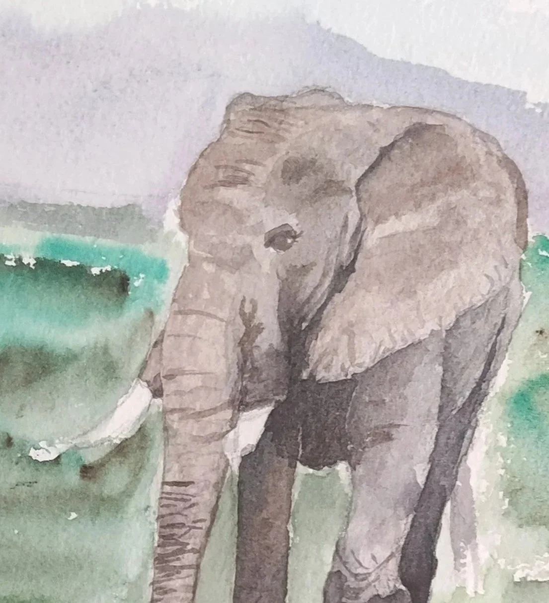 Elephant on Savannah detail