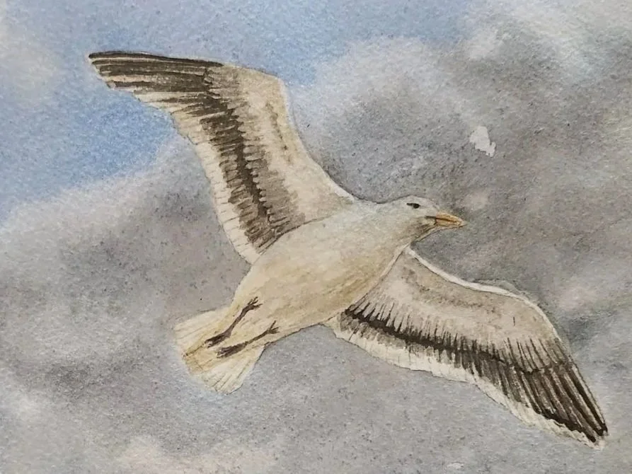 Seagull Flying in Clouds painting detail