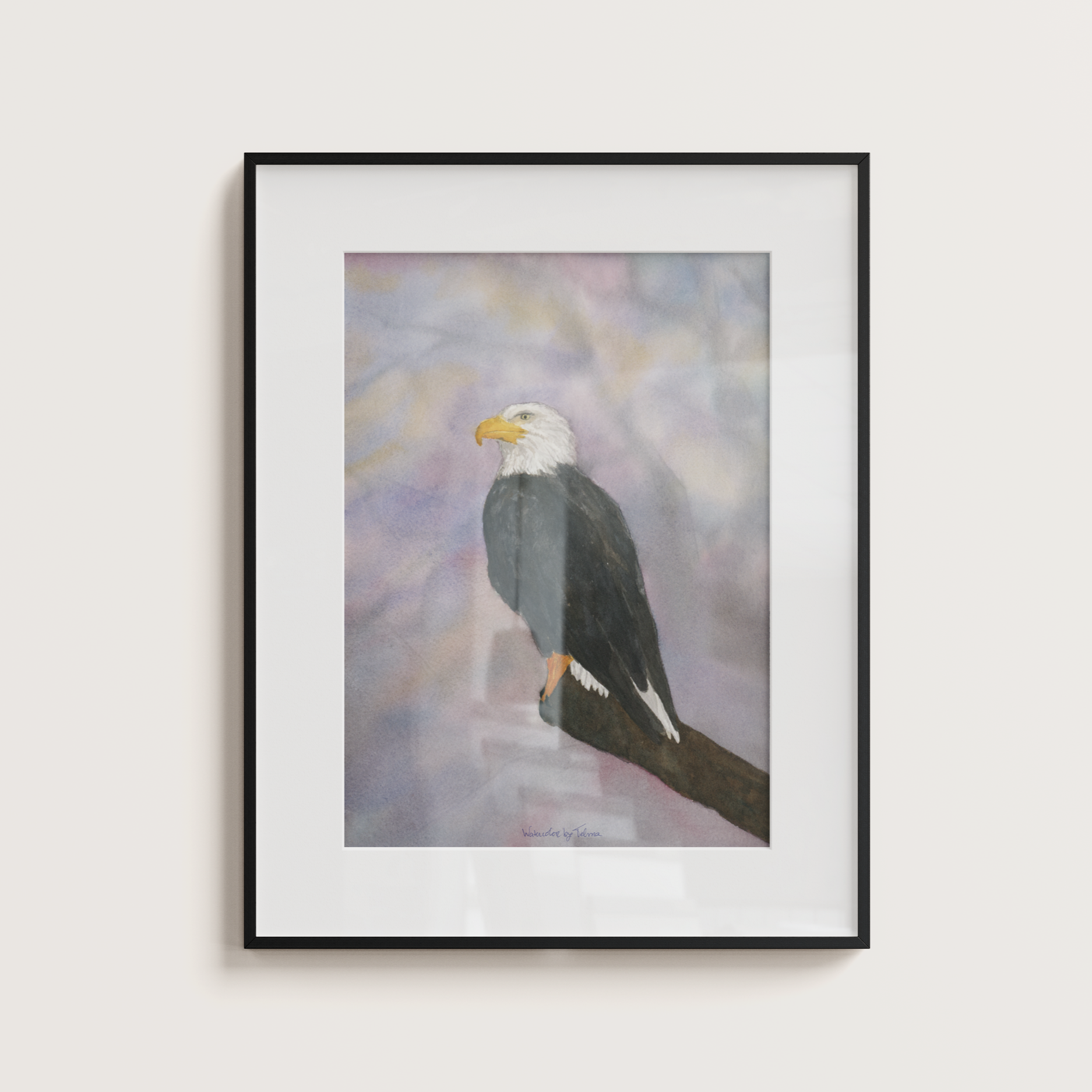 White-Headed Eagle