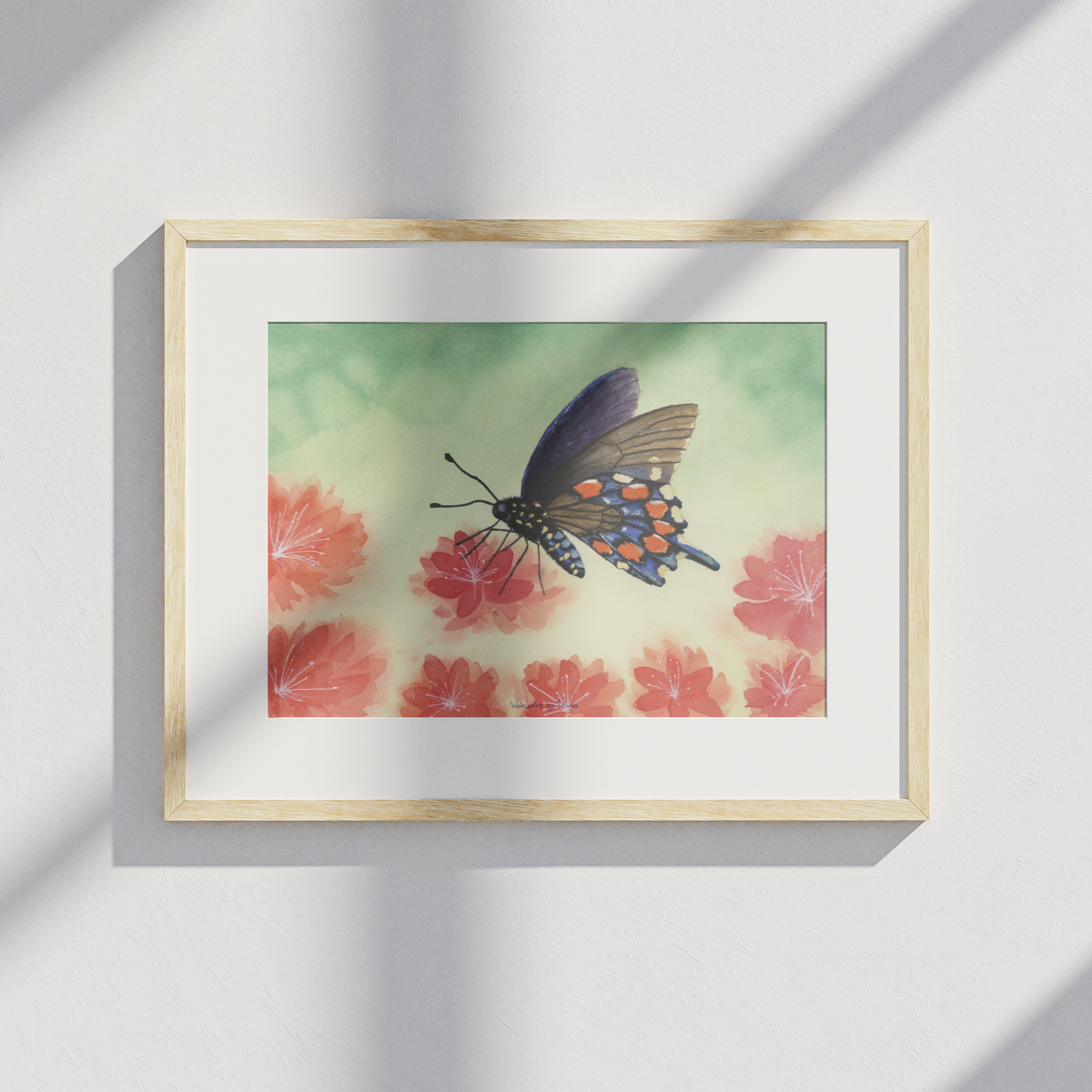 Butterfly Watercolor