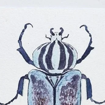 Blue Beetle watercolor painting detail