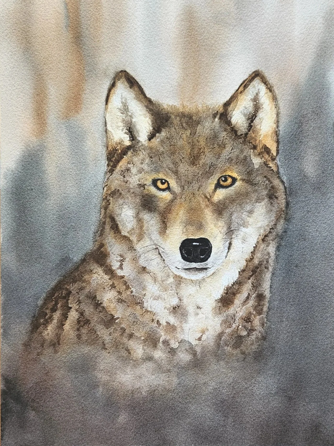 Grey Wolf Original Watercolor Painting
