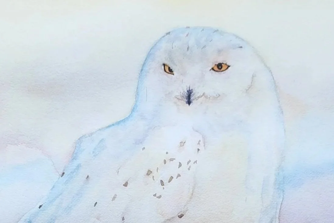 Snowy Owl in Winter watercolor painting detail