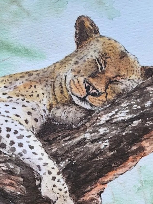 Sleeping Leopard on Tree watercolor painting detail