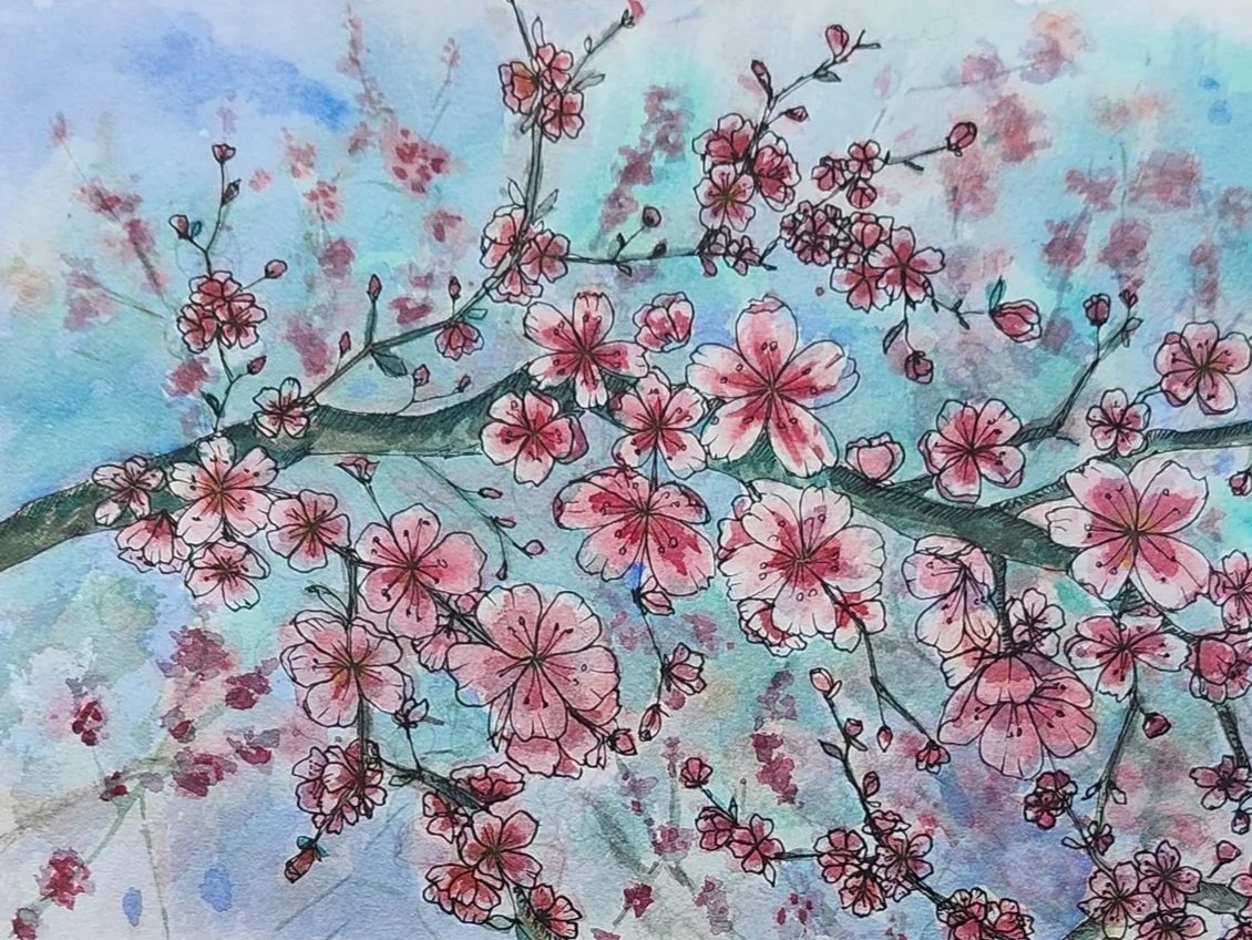 Cherry Blossom