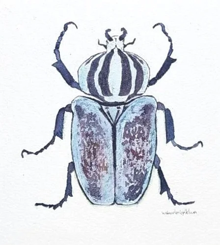 Blue Beetle watercolor painting