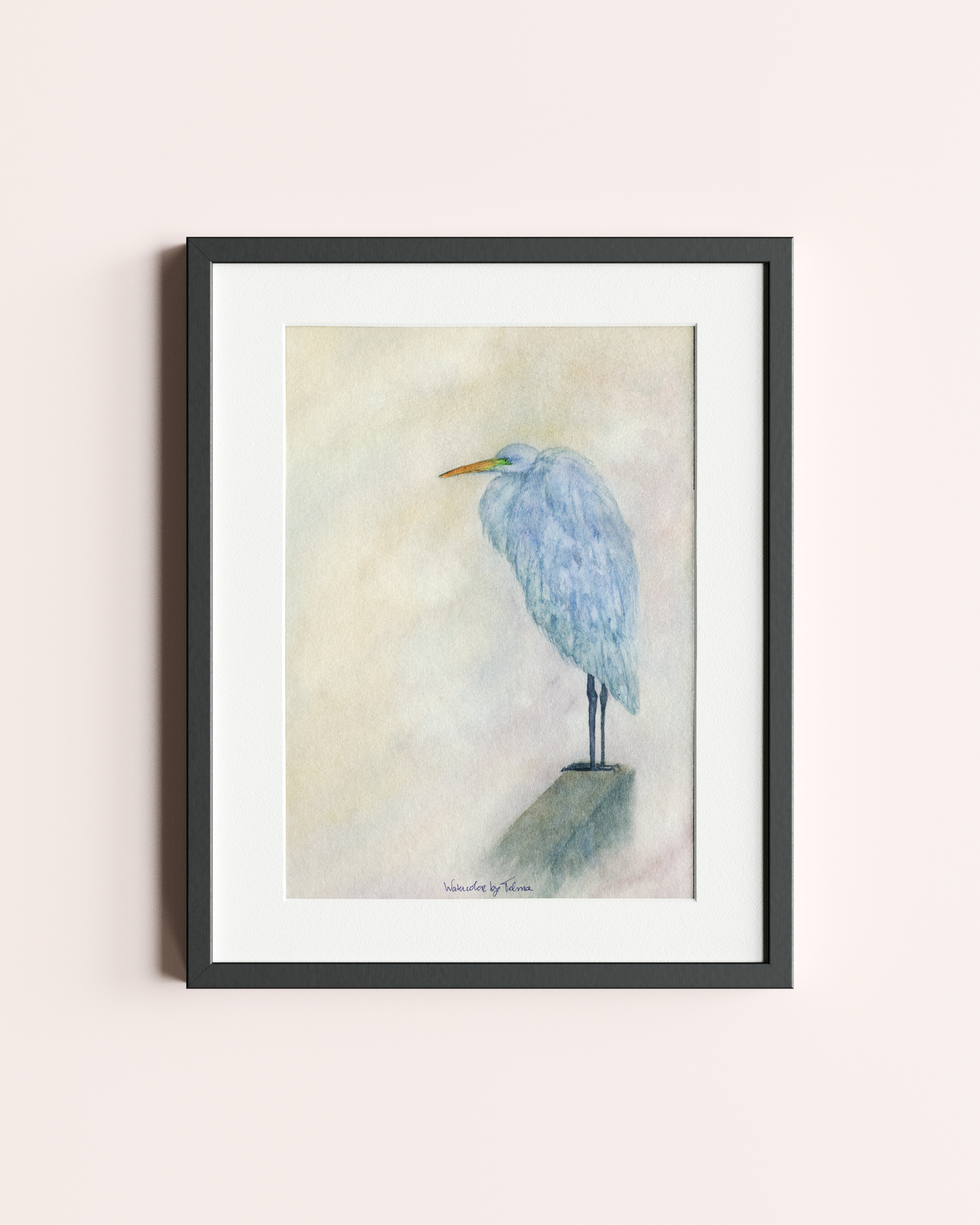 Blue Egret