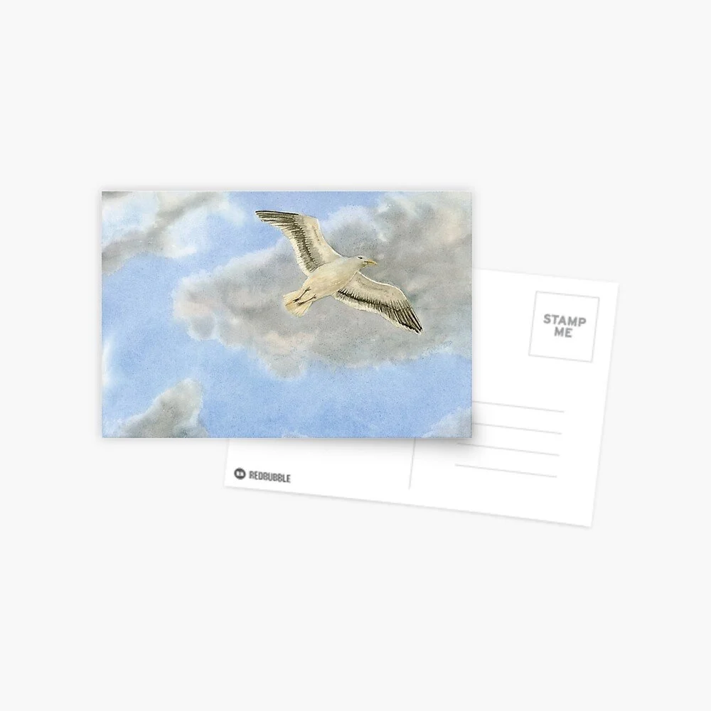 Seagull Flying in Clouds Postcard