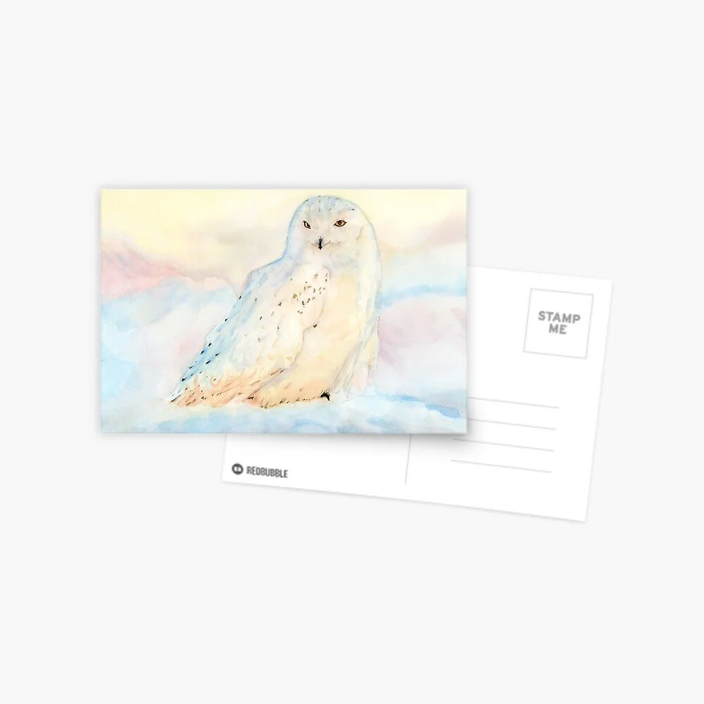 Snowy Owl in Winter Postcard