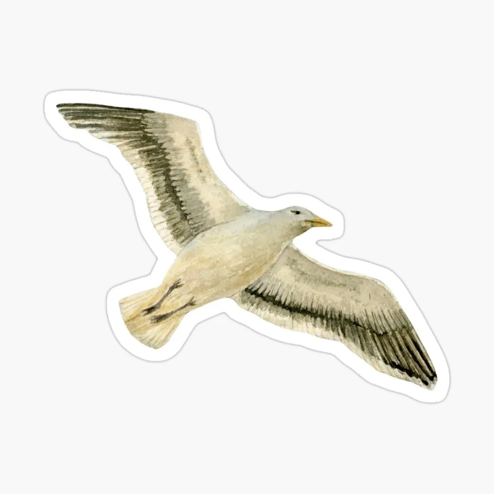 Seagull Flying in Clouds Sticker
