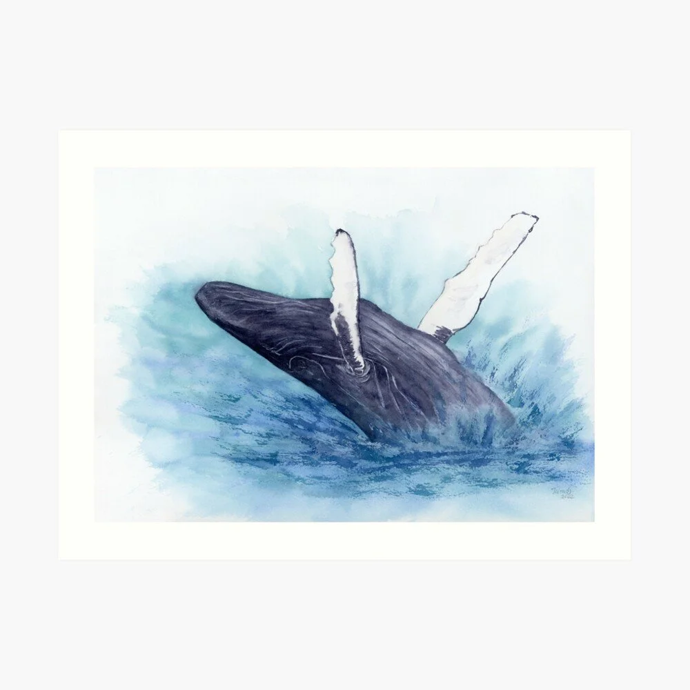 Blue Whale Jumping Art Print