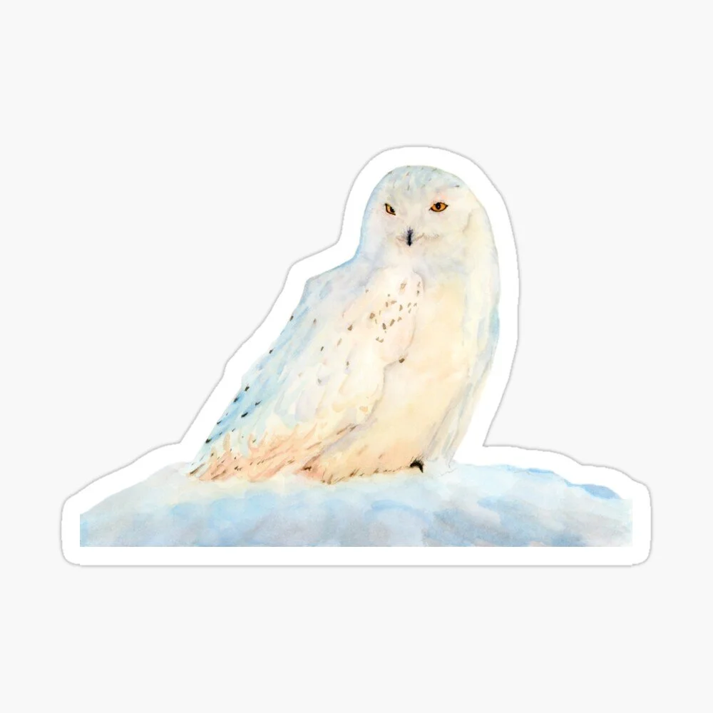 Snowy Owl in Winter Sticker