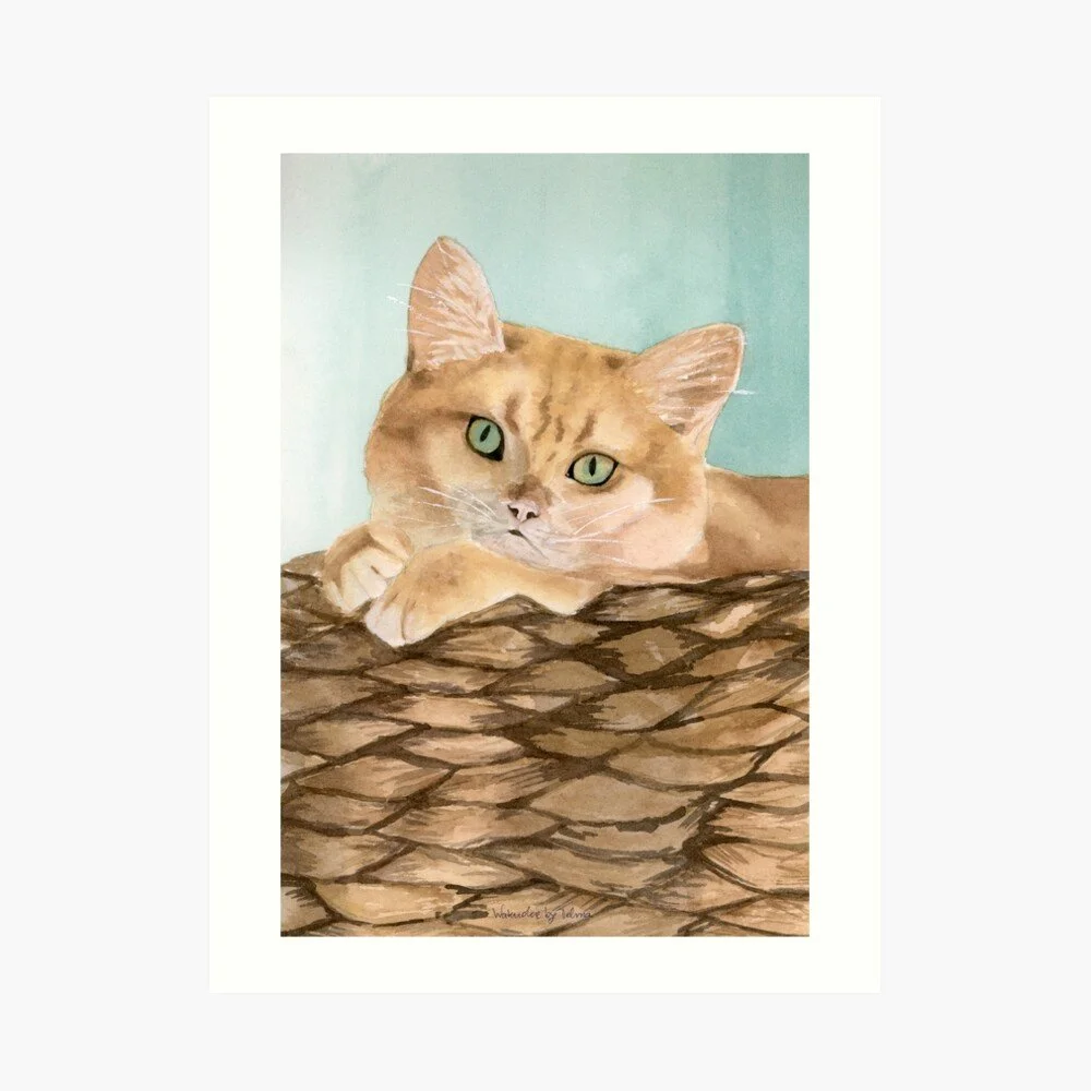 Cat in the Basket Art Print