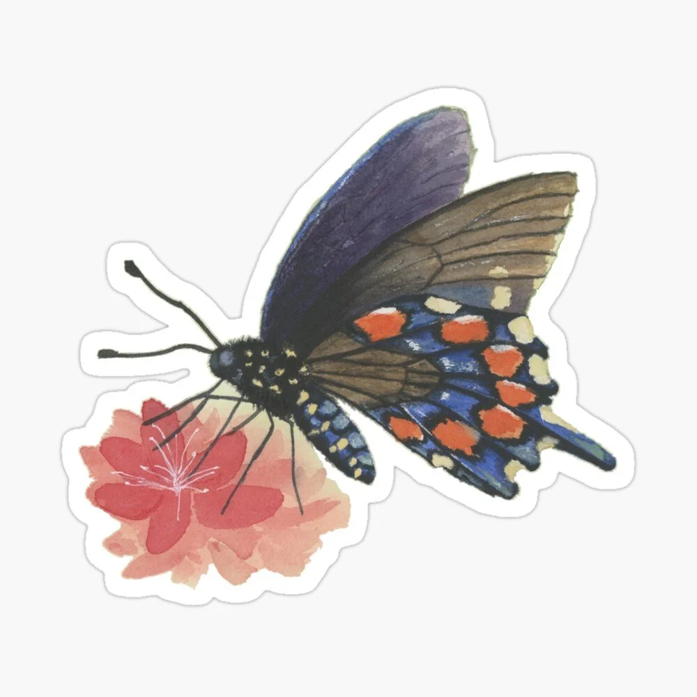 Butterfly Watercolor  Sticker