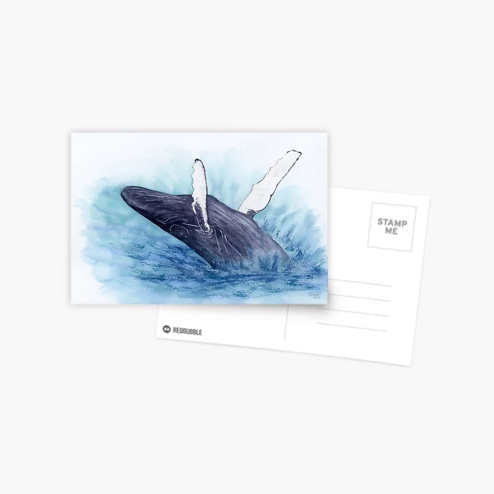 Blue Whale Jumping Postcard
