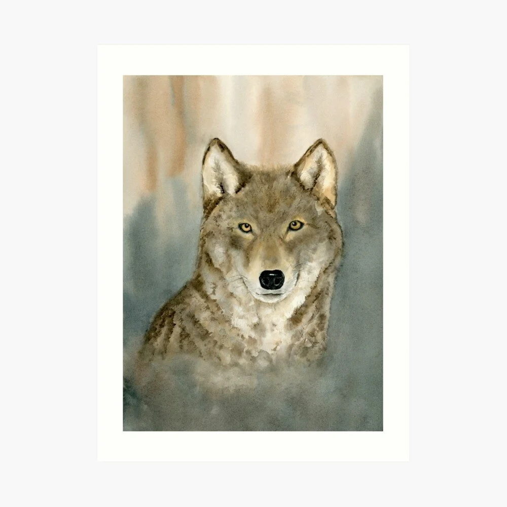 Grey Wolf Art Print