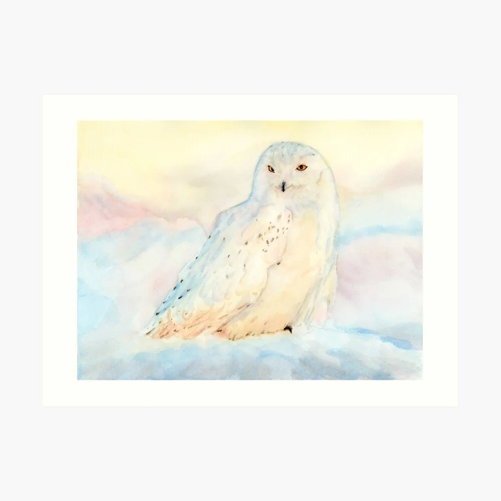 Snowy Owl in Winter Art Print
