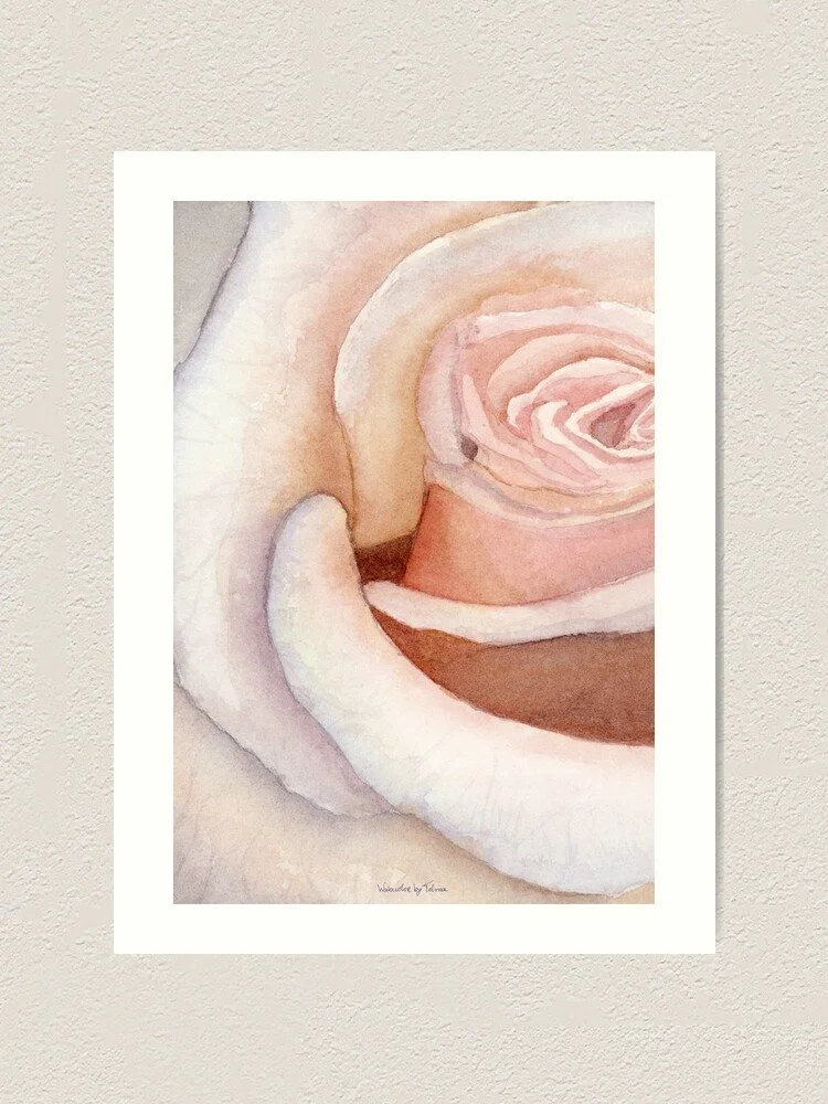 Pink Rose Art Print
