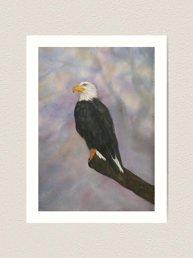 White-Headed Eagle Art Print