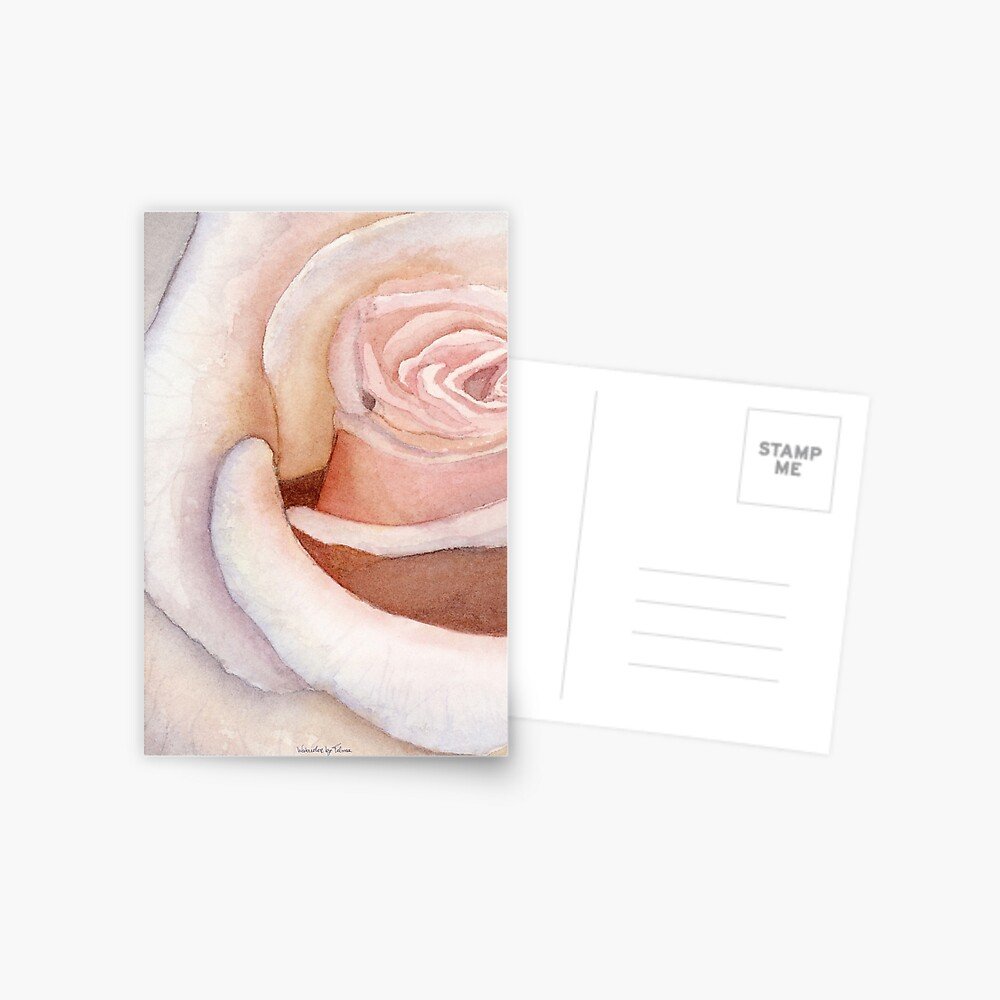 Pink Rose Postcard

