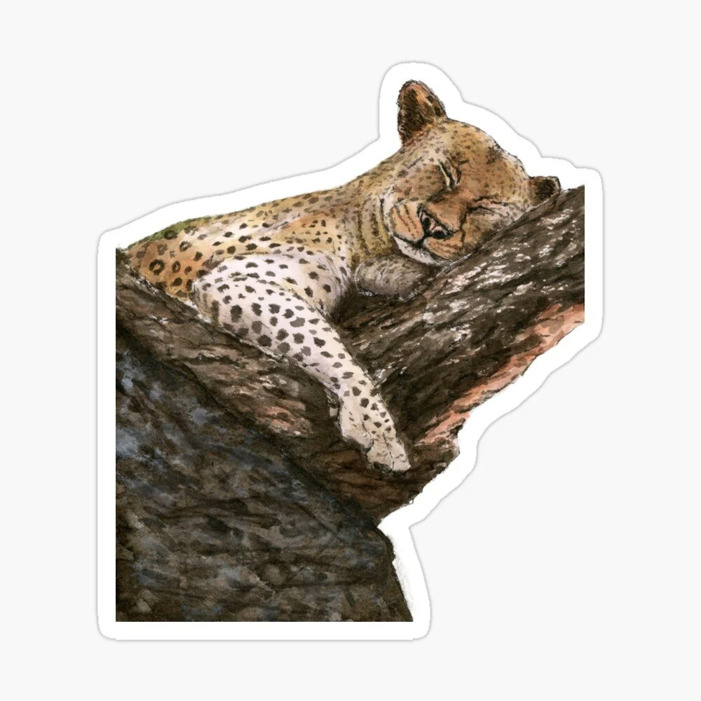 Sleeping Leopard on Tree Sticker
