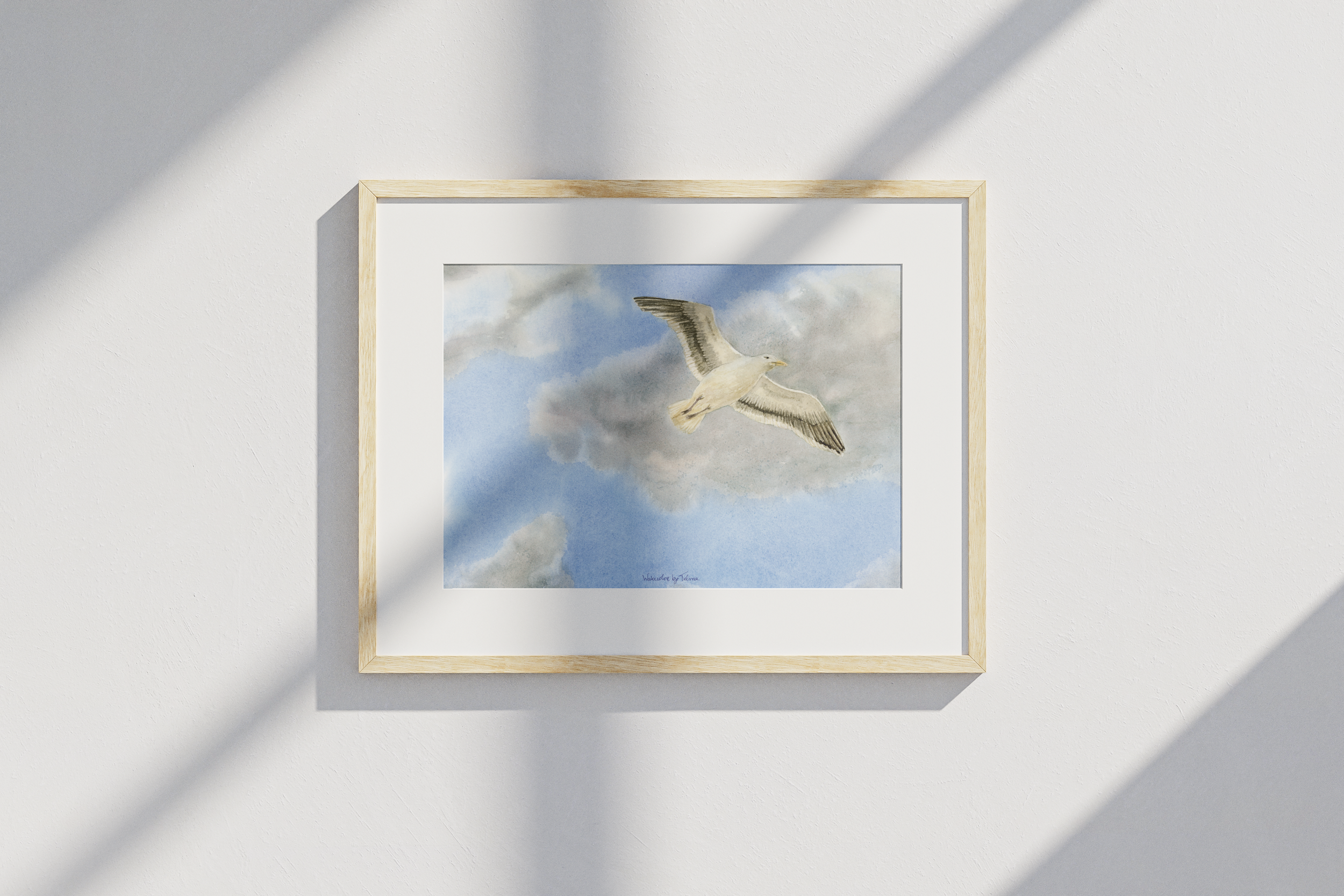 Seagull Flying in Clouds