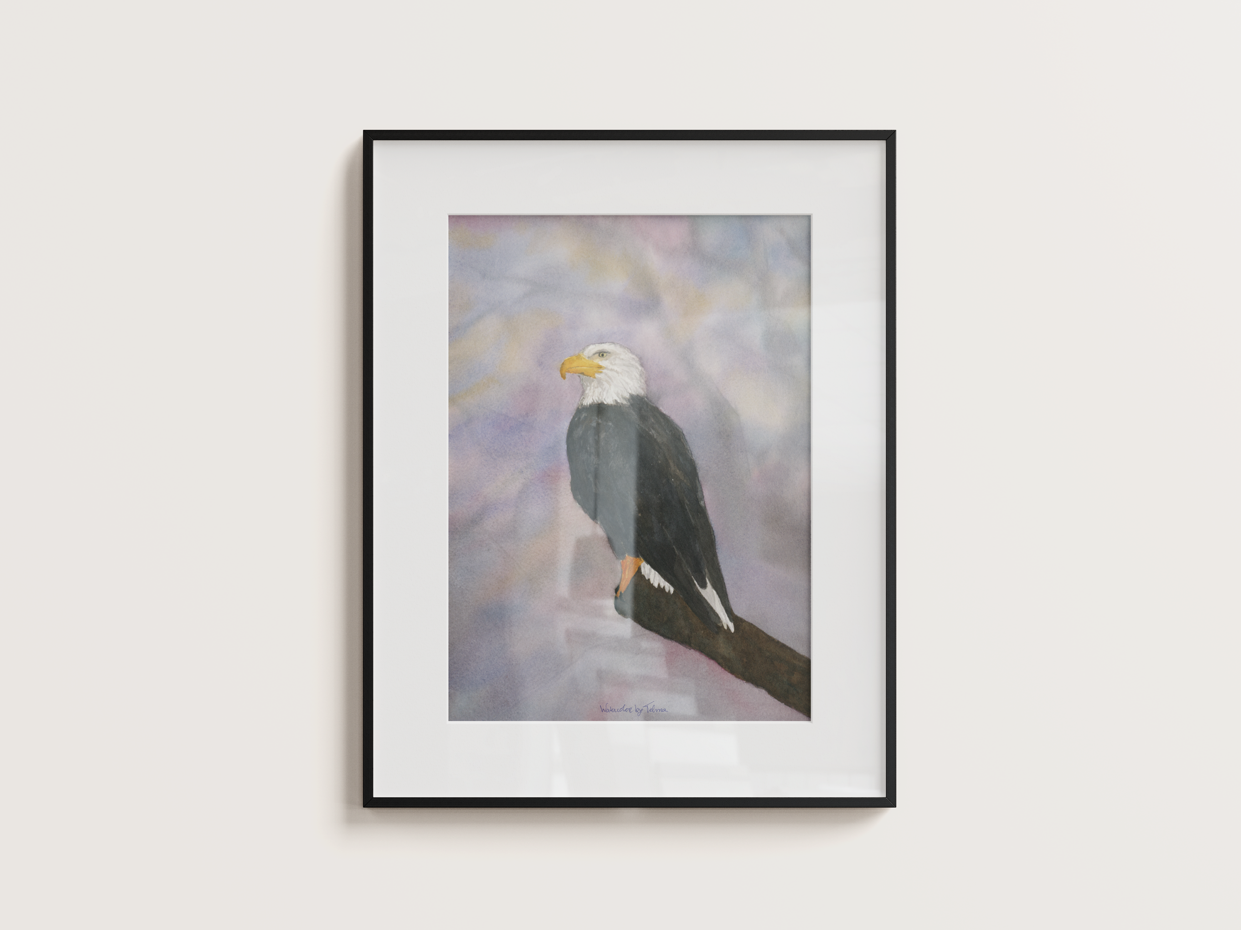 White-Headed Eagle