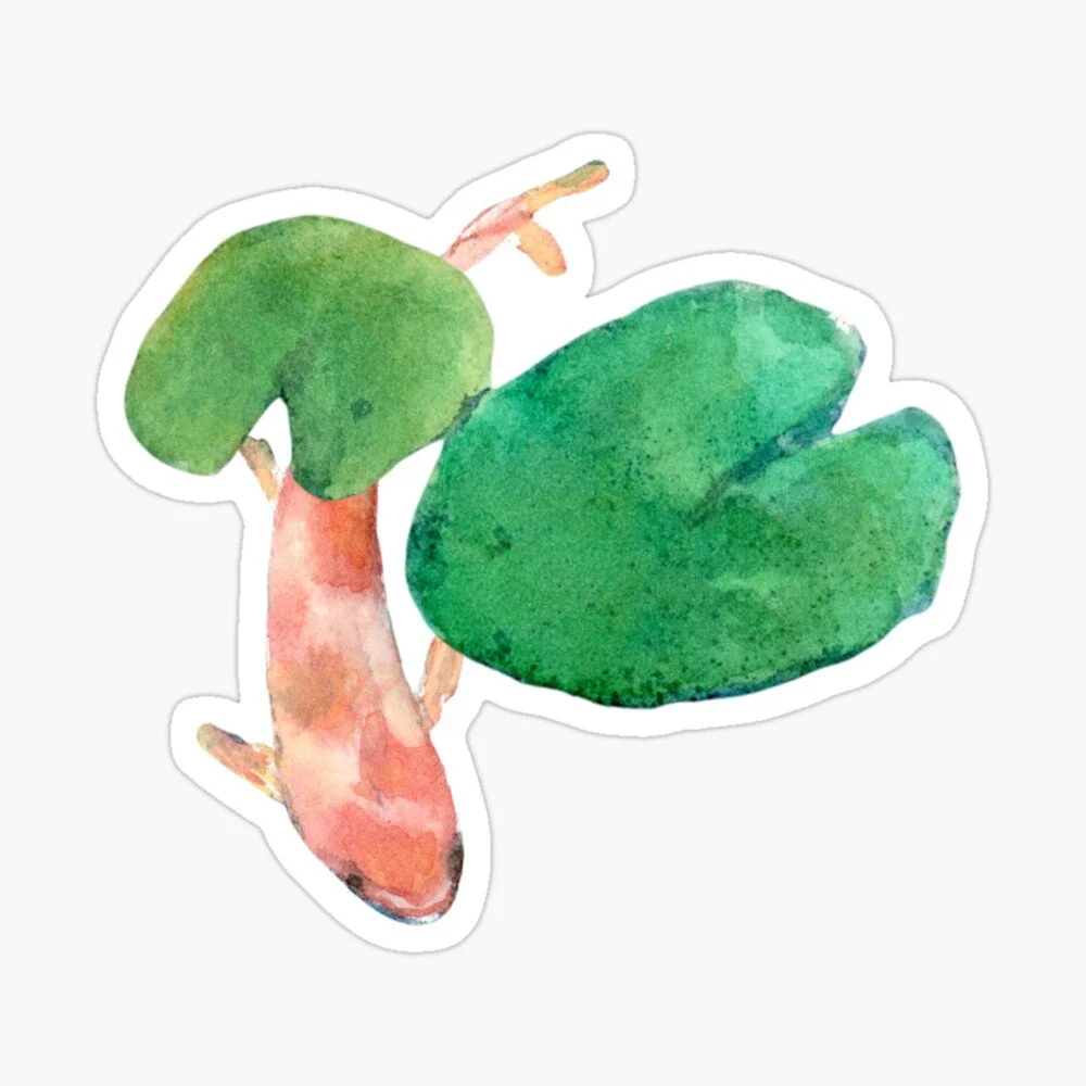 Koi Fish Pond Sticker