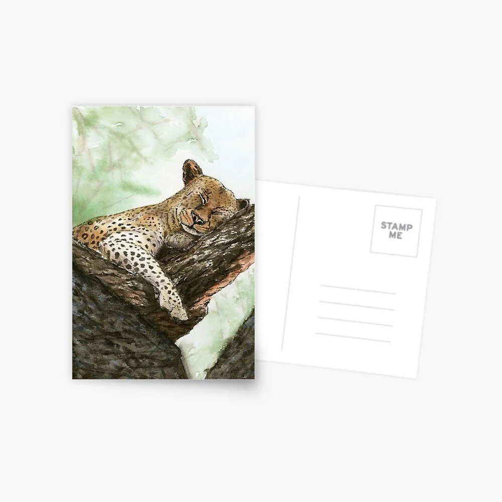 Sleeping Leopard on Tree Postcard