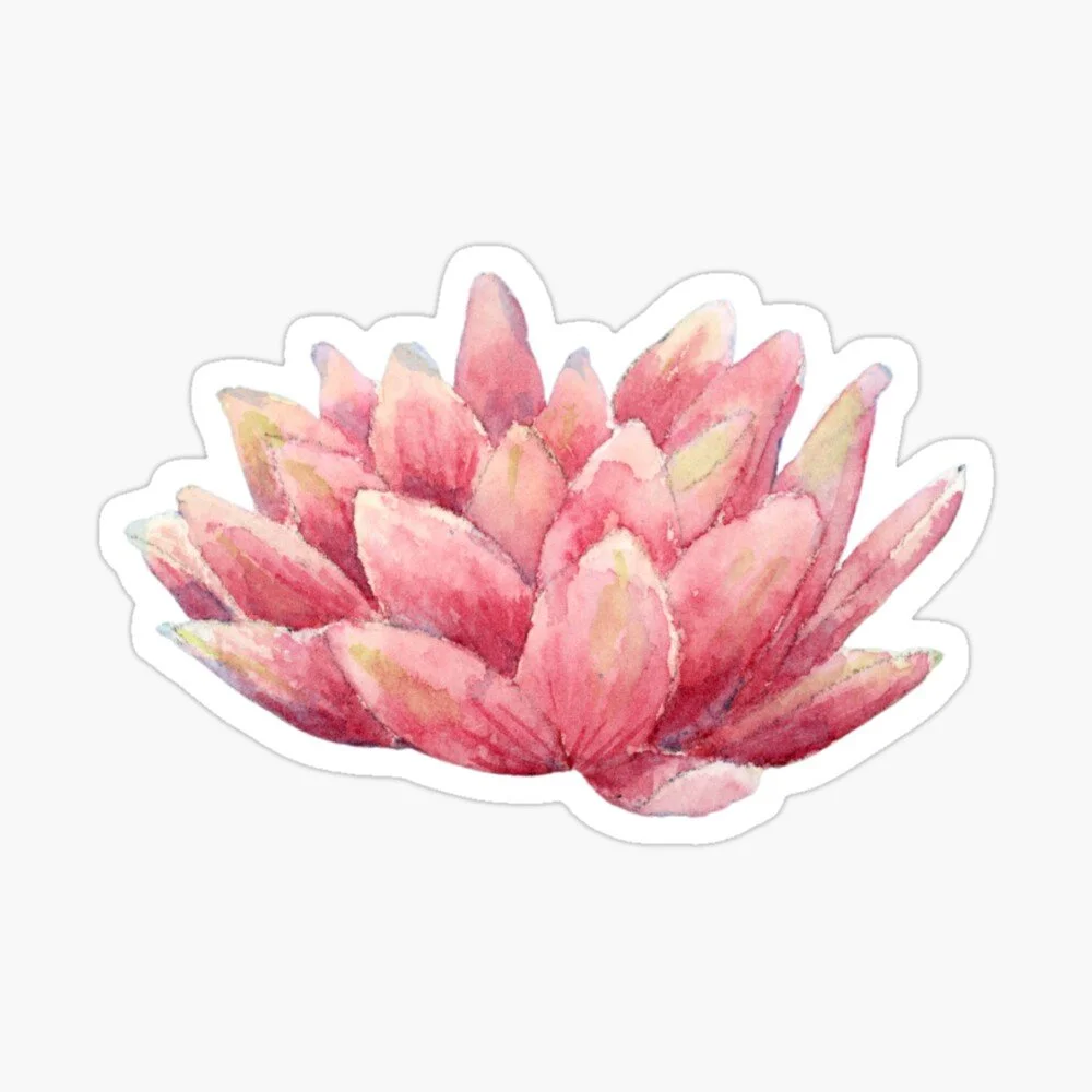 
Lotus Flower Sticker