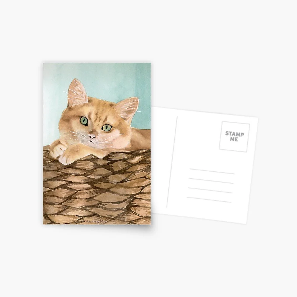 Cat in the Basket Postcard