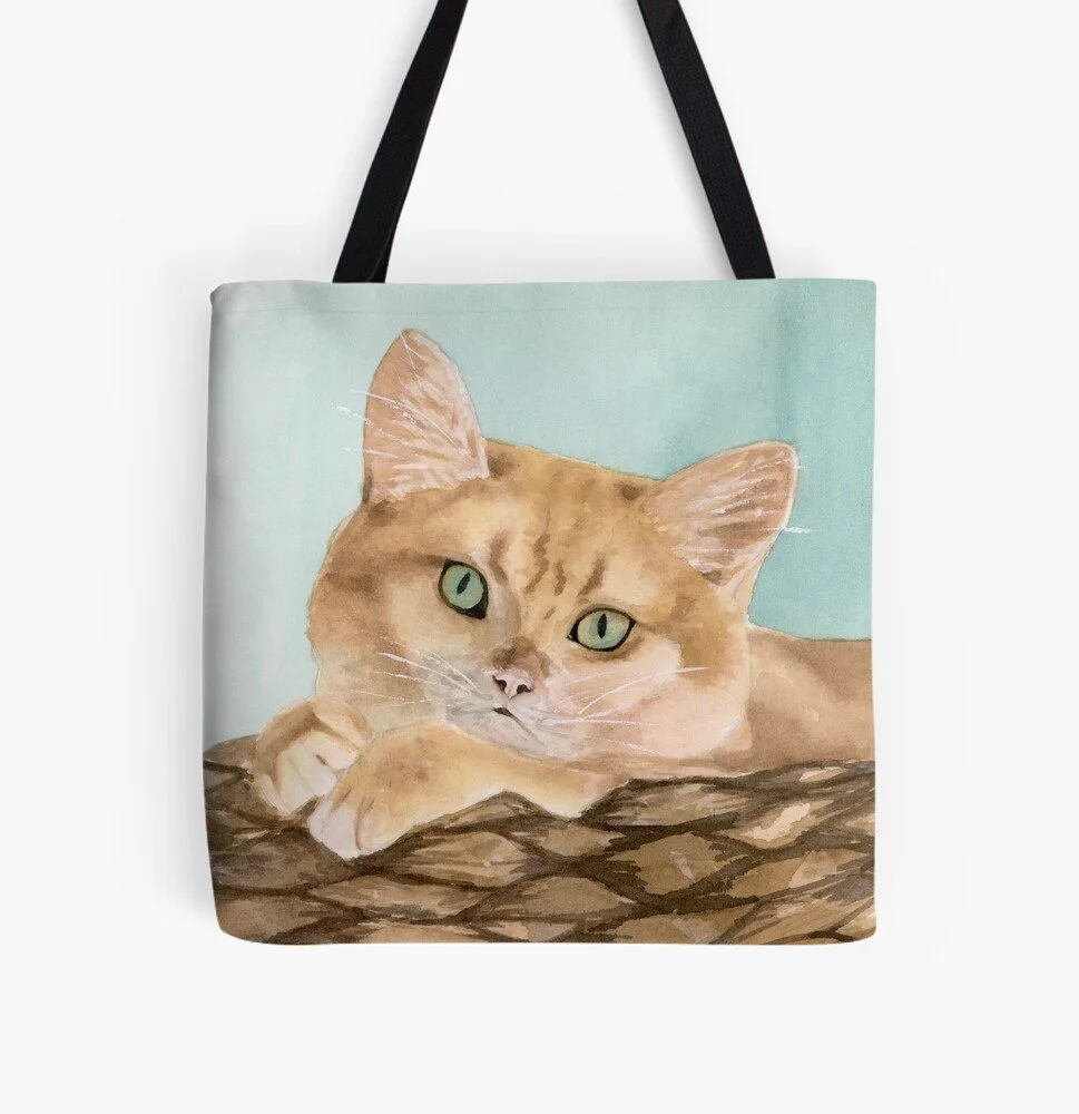 Cat in the Basket Bag