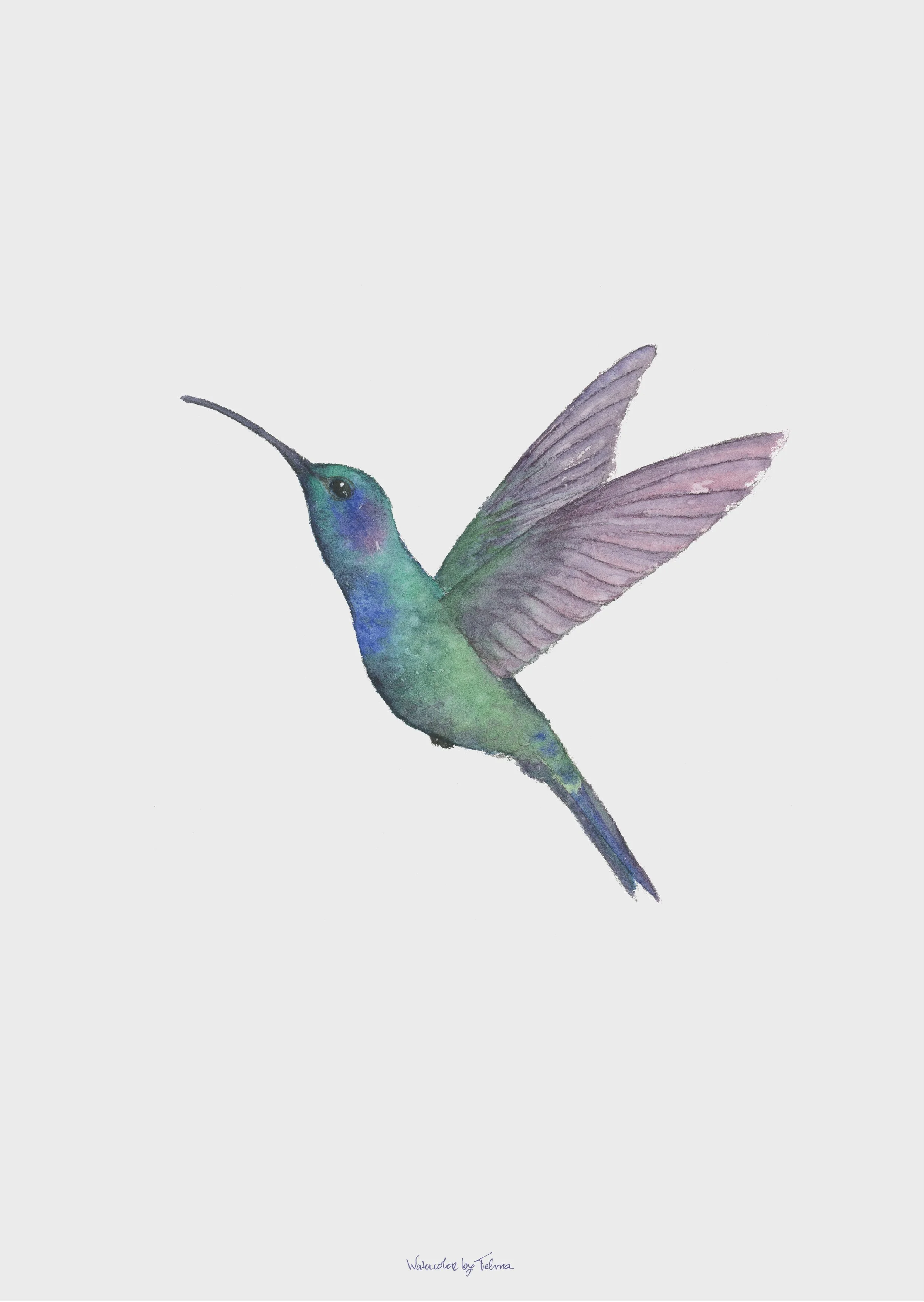 Hummingbird