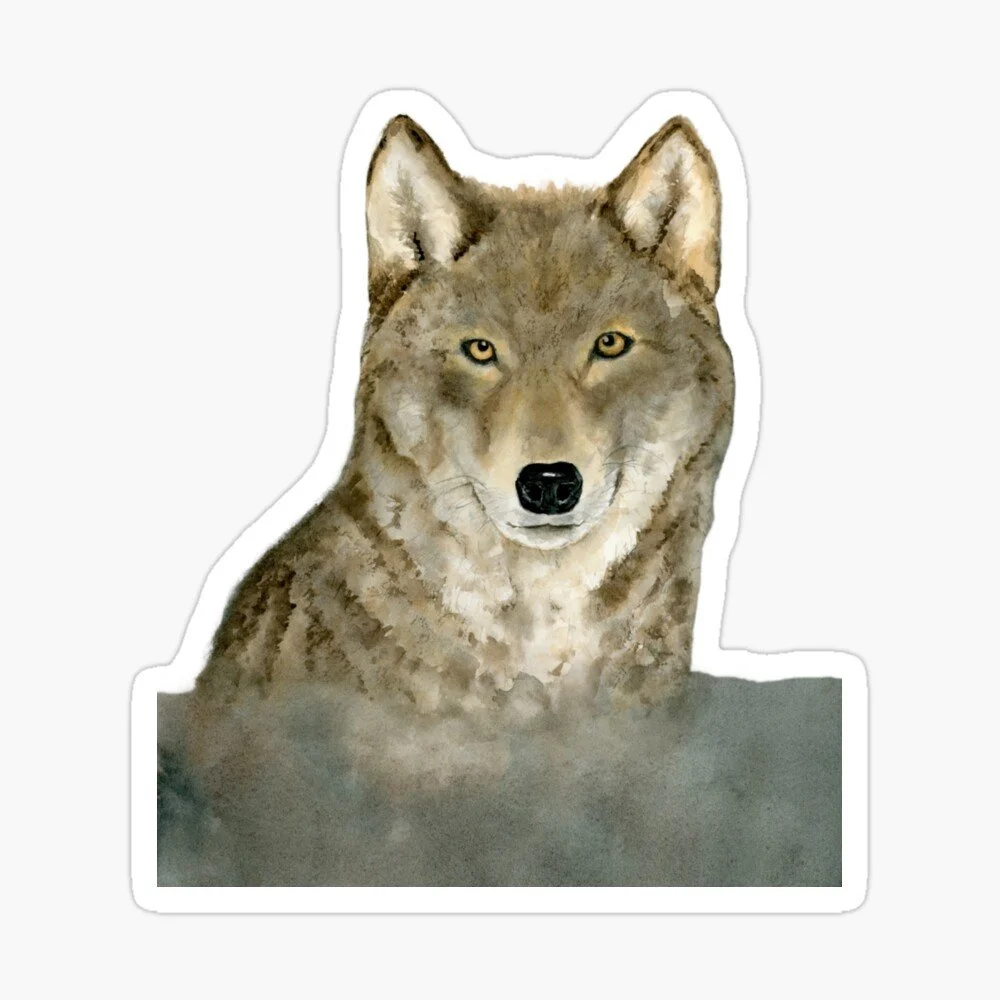 Grey Wolf Sticker