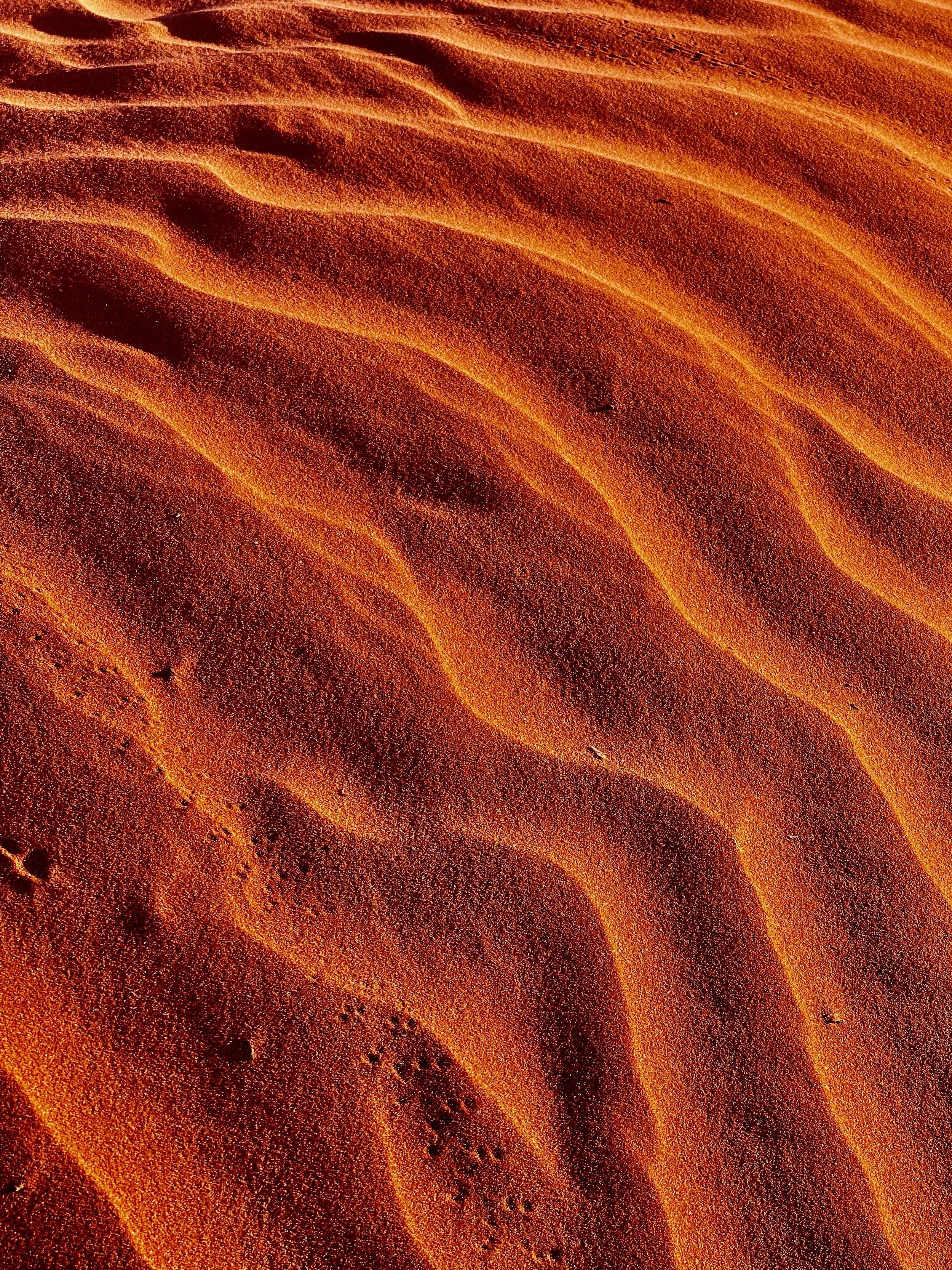 The Red of the Sand, Simpson Desert, QLD